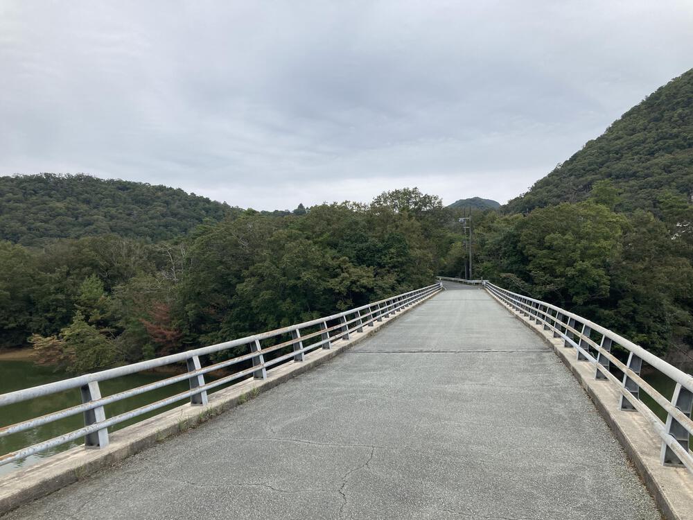 走りに集中できる♪三田千丈寺湖ランの写真7