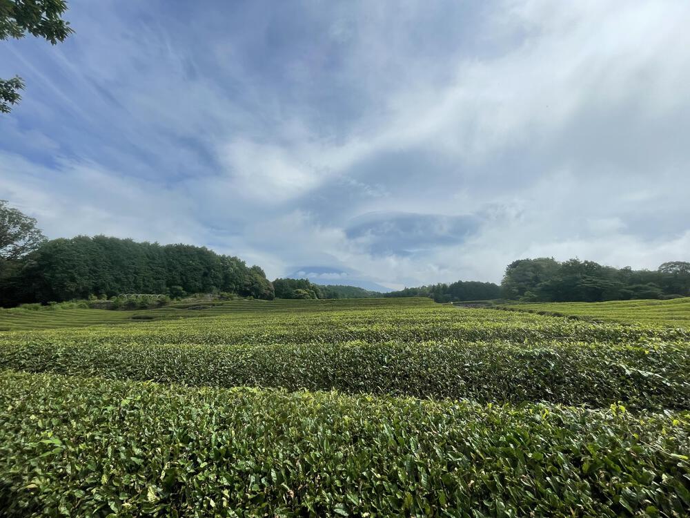 村山ジャンボキャンプ場から大淵笹場の写真5