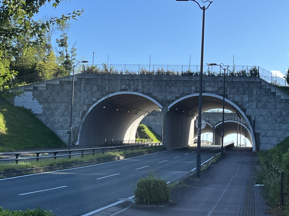 久留米ランニングの写真5