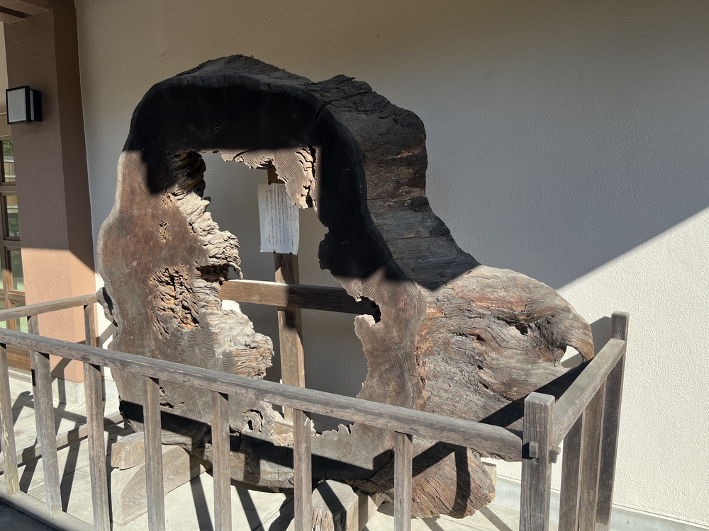 久留米ランニングの写真11