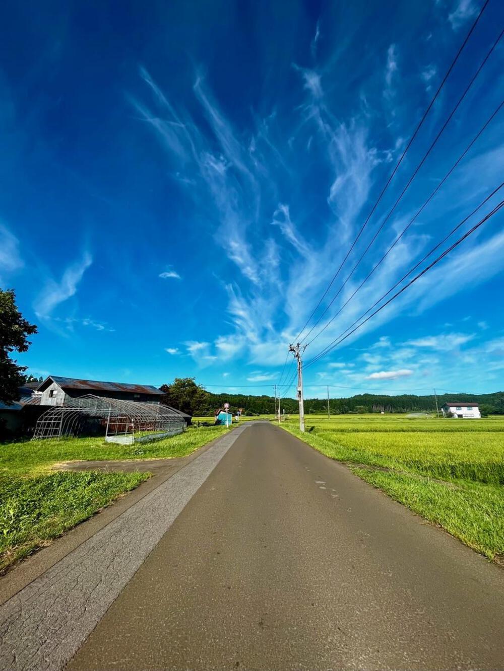 田代町周遊10kの写真6