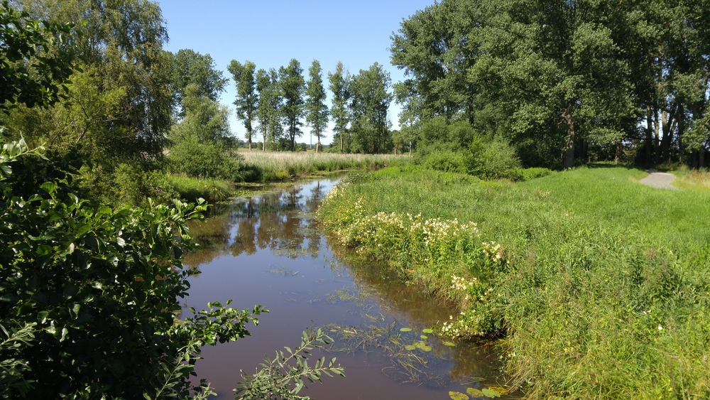 ドイツ・エルベ川の古い堤防上を往く道の写真3