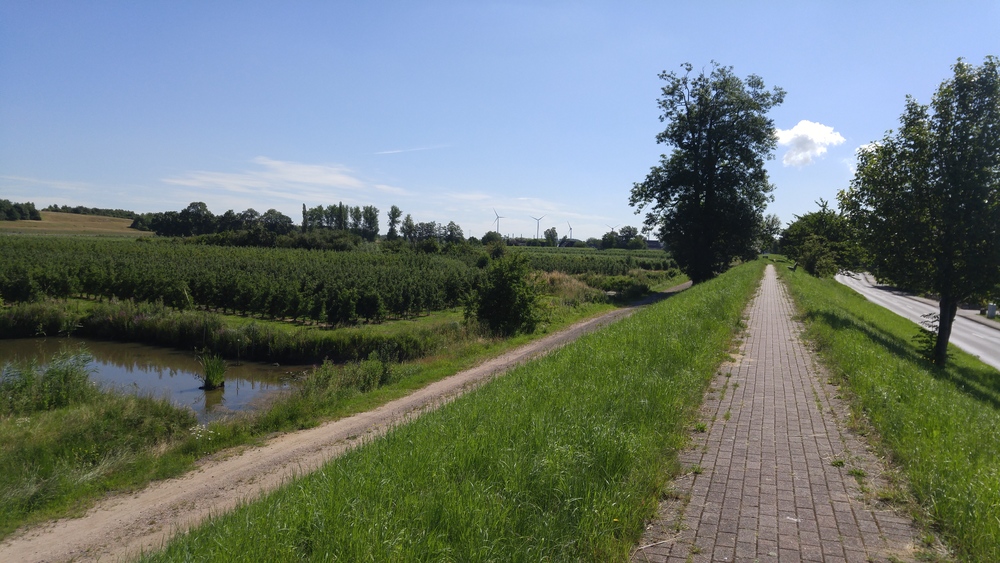 ドイツ・エルベ川の古い堤防上を往く道の写真7