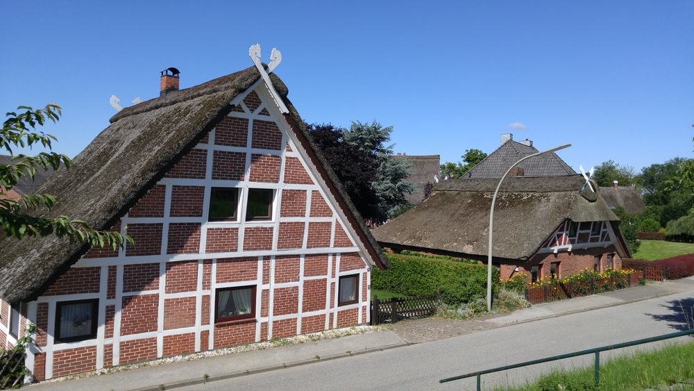 ドイツ・エルベ川の古い堤防上を往く道の写真8