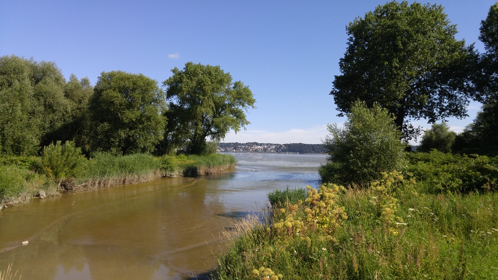 ドイツ・エルベ川の古い堤防上を往く道の写真11