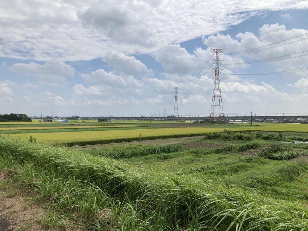 守谷駅〜水海道駅まで❗️小貝川サイクリングロードを走る！の写真5