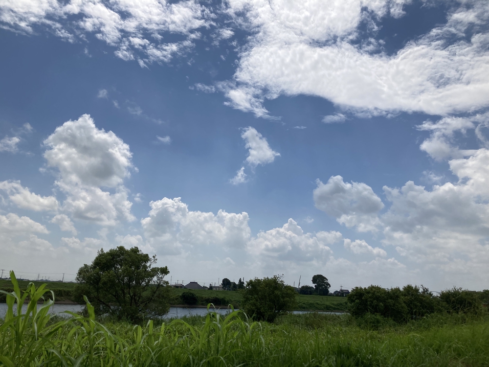 守谷駅〜水海道駅まで❗️小貝川サイクリングロードを走る！の写真7