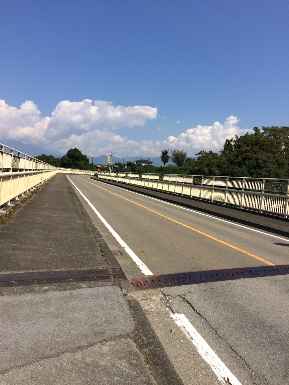 甲州フルーツマラソン10キロの写真3