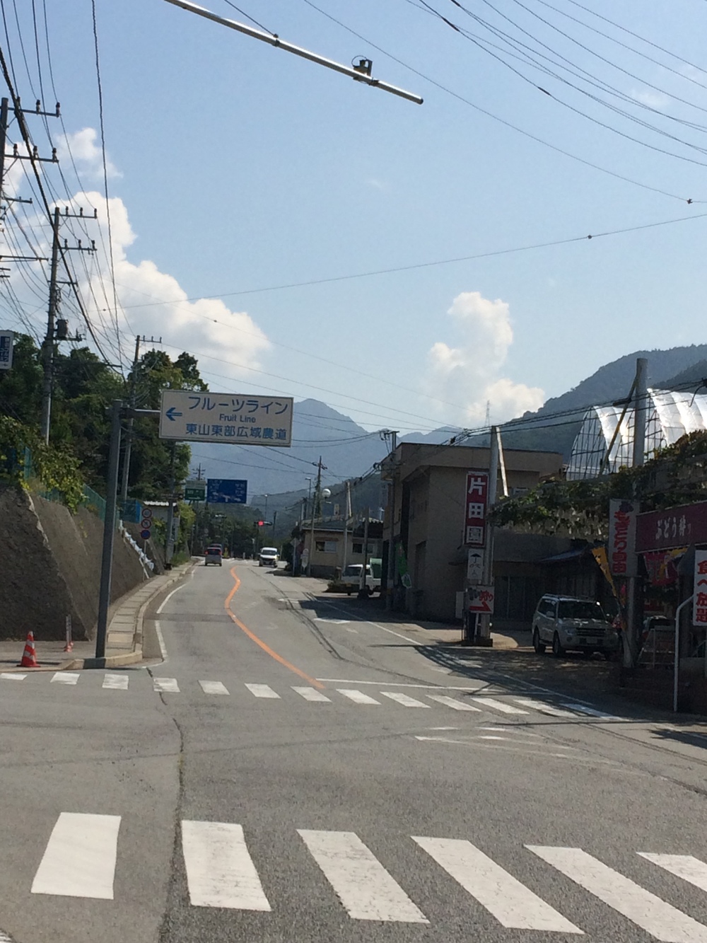 甲州フルーツマラソン10キロの写真5