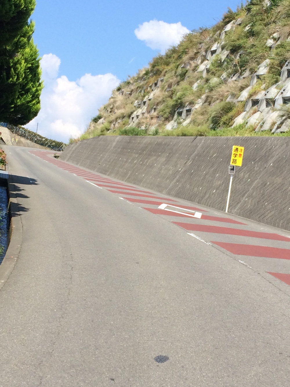 甲州フルーツマラソン10キロの写真6