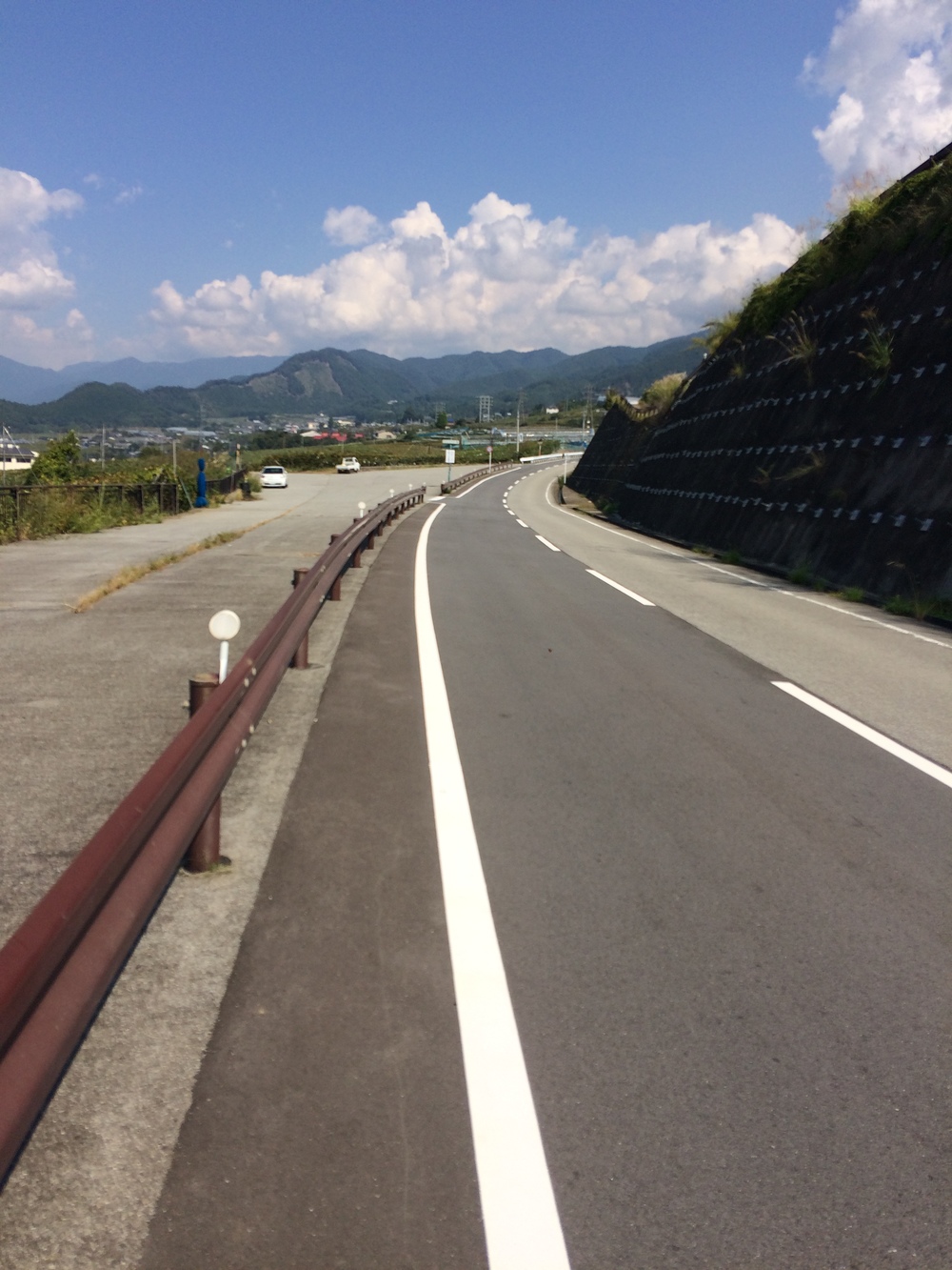 甲州フルーツマラソン10キロの写真8