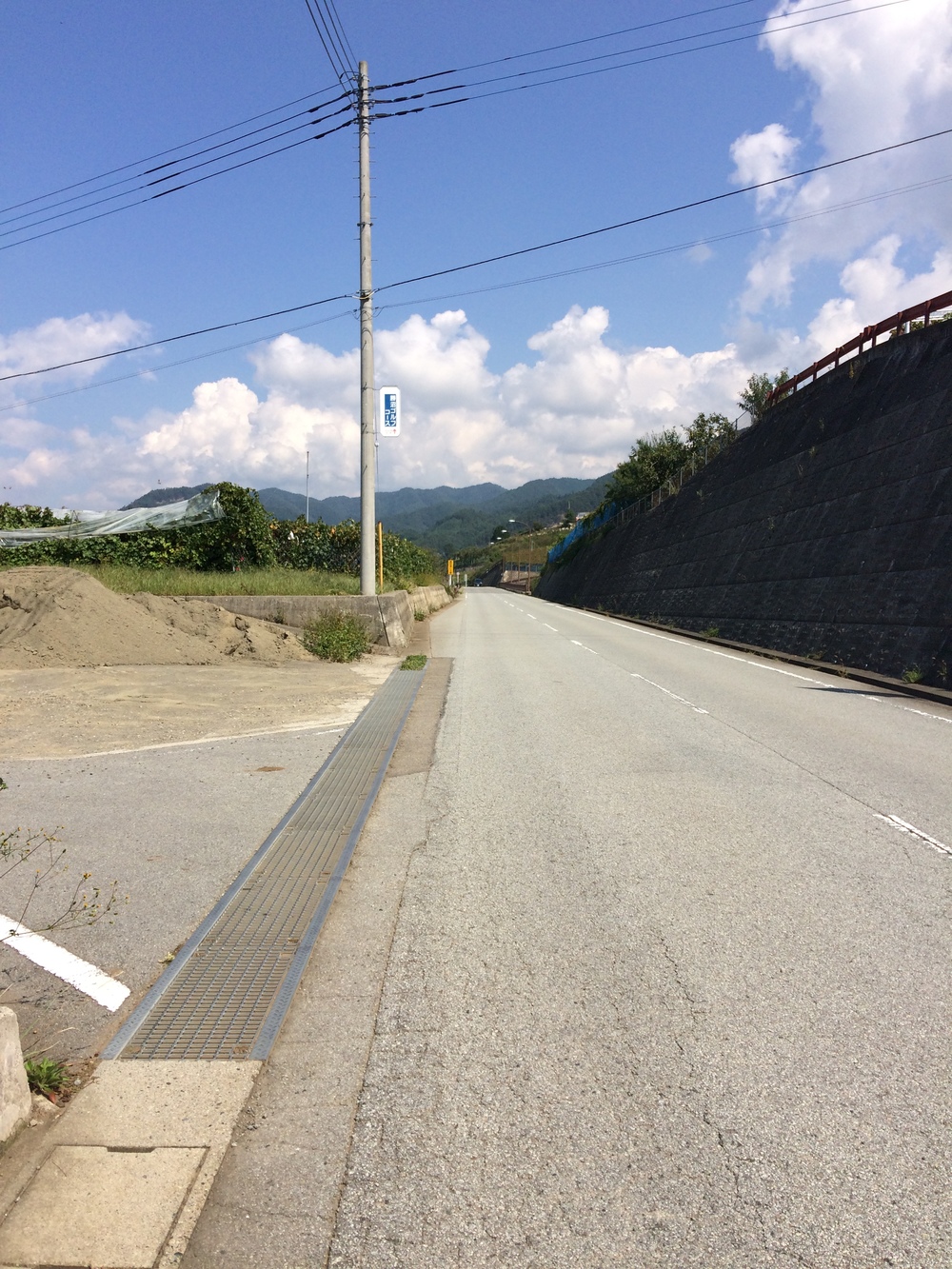 甲州フルーツマラソン10キロの写真9