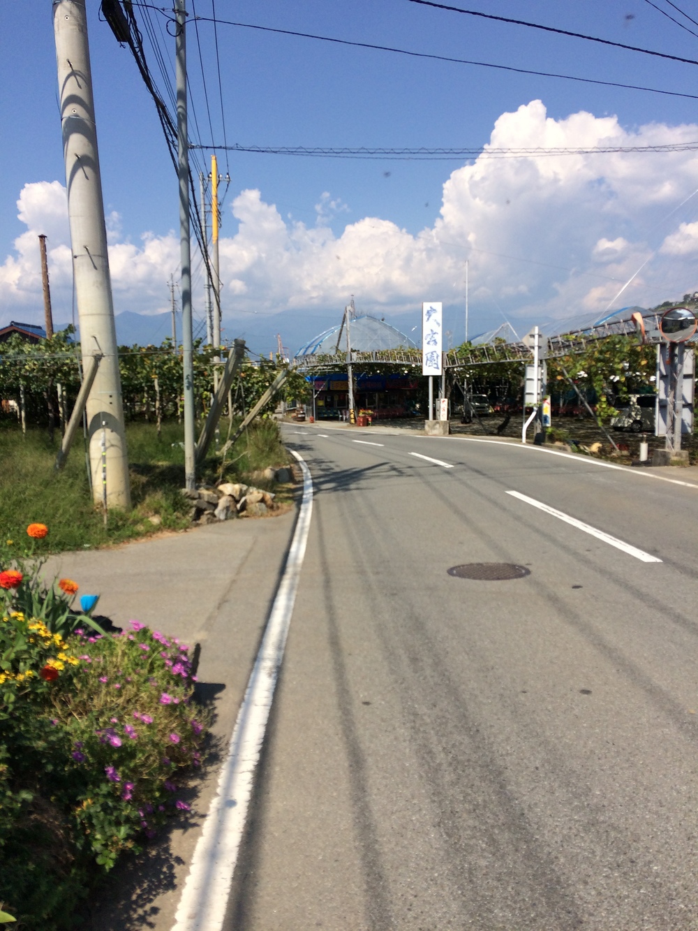 甲州フルーツマラソン10キロの写真13