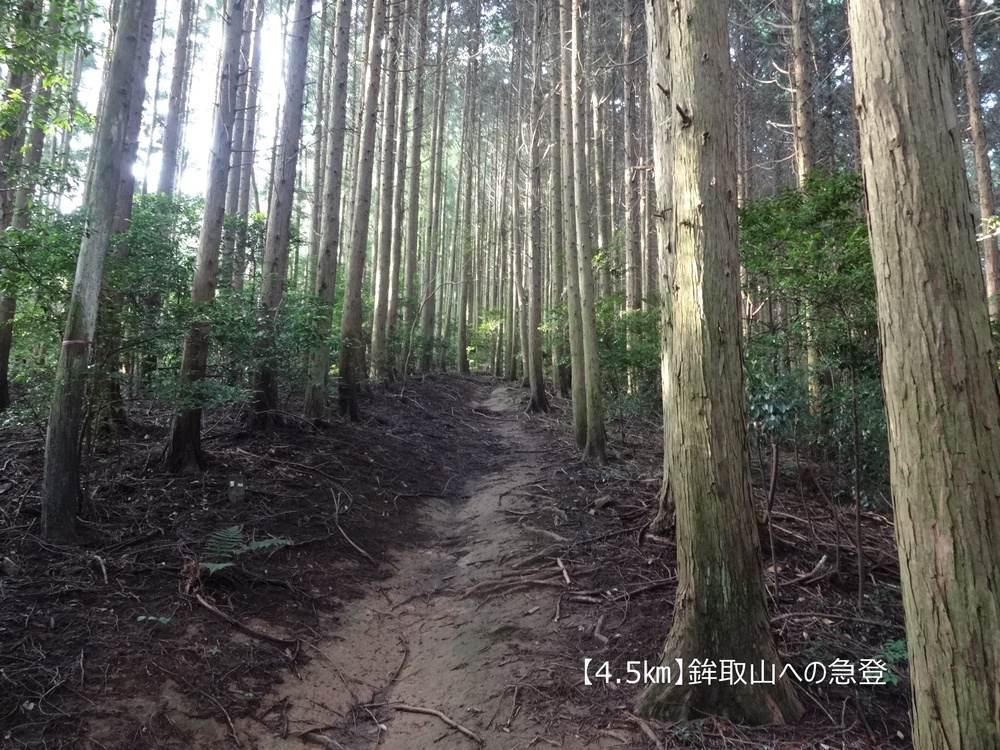 【トレイル20㎞】広島安芸アルプス大縦走！の写真4