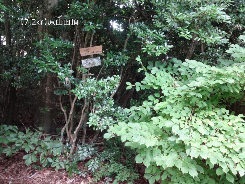 【トレイル20㎞】広島安芸アルプス大縦走！の写真6