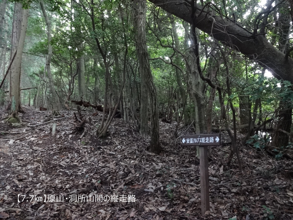 【トレイル20㎞】広島安芸アルプス大縦走！の写真7