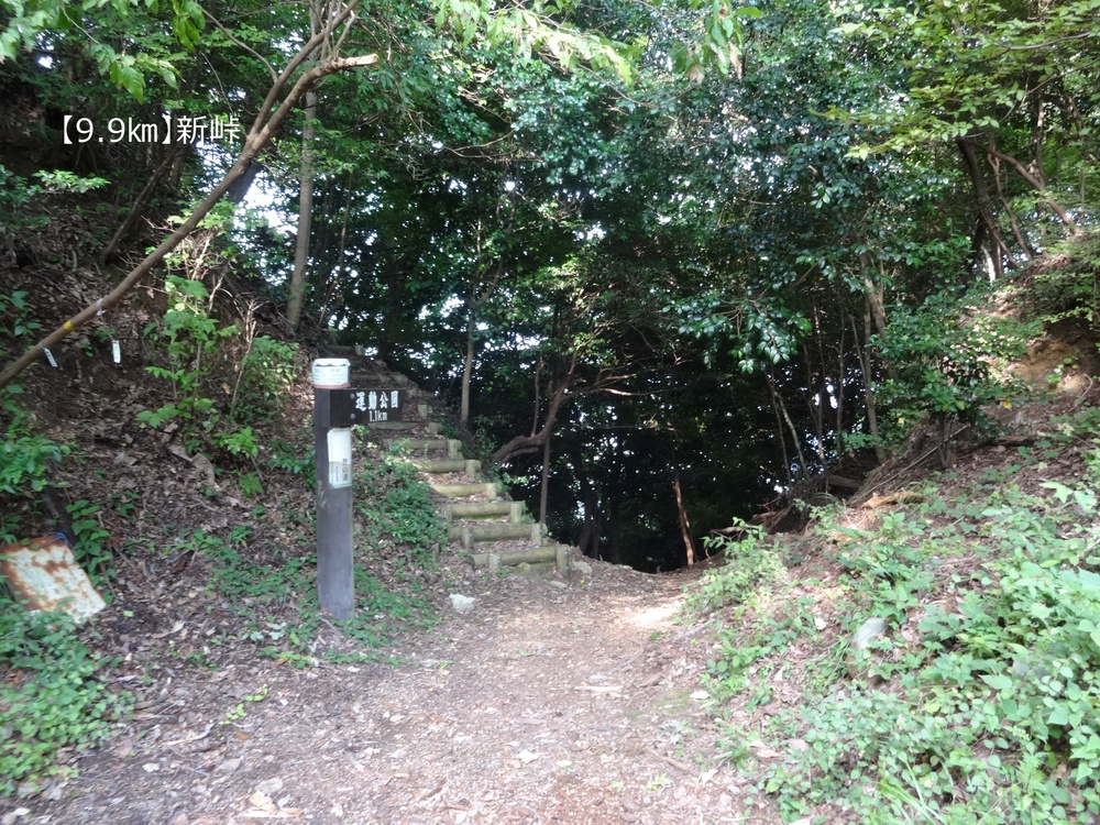 【トレイル20㎞】広島安芸アルプス大縦走！の写真10