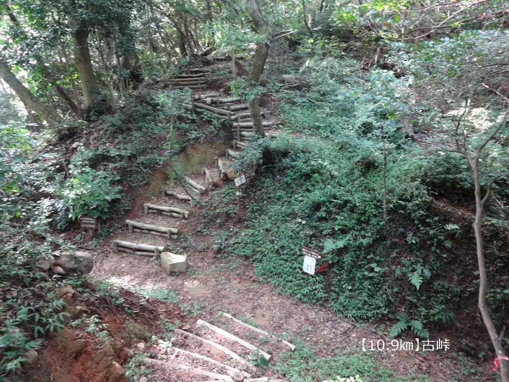【トレイル20㎞】広島安芸アルプス大縦走！の写真11