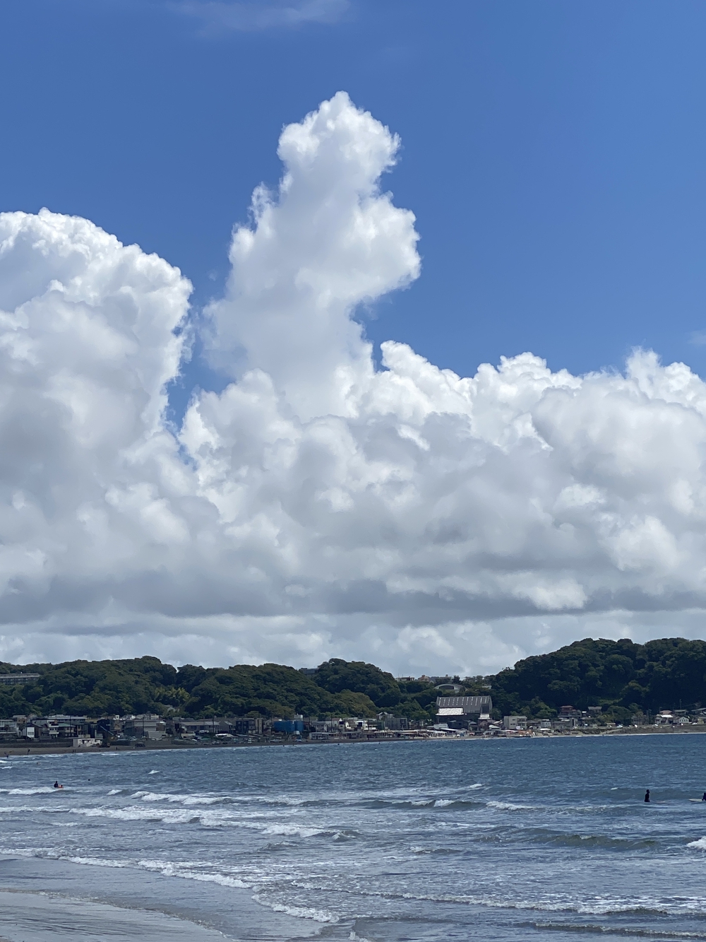 鎌倉駅から辻堂駅14キロの写真4