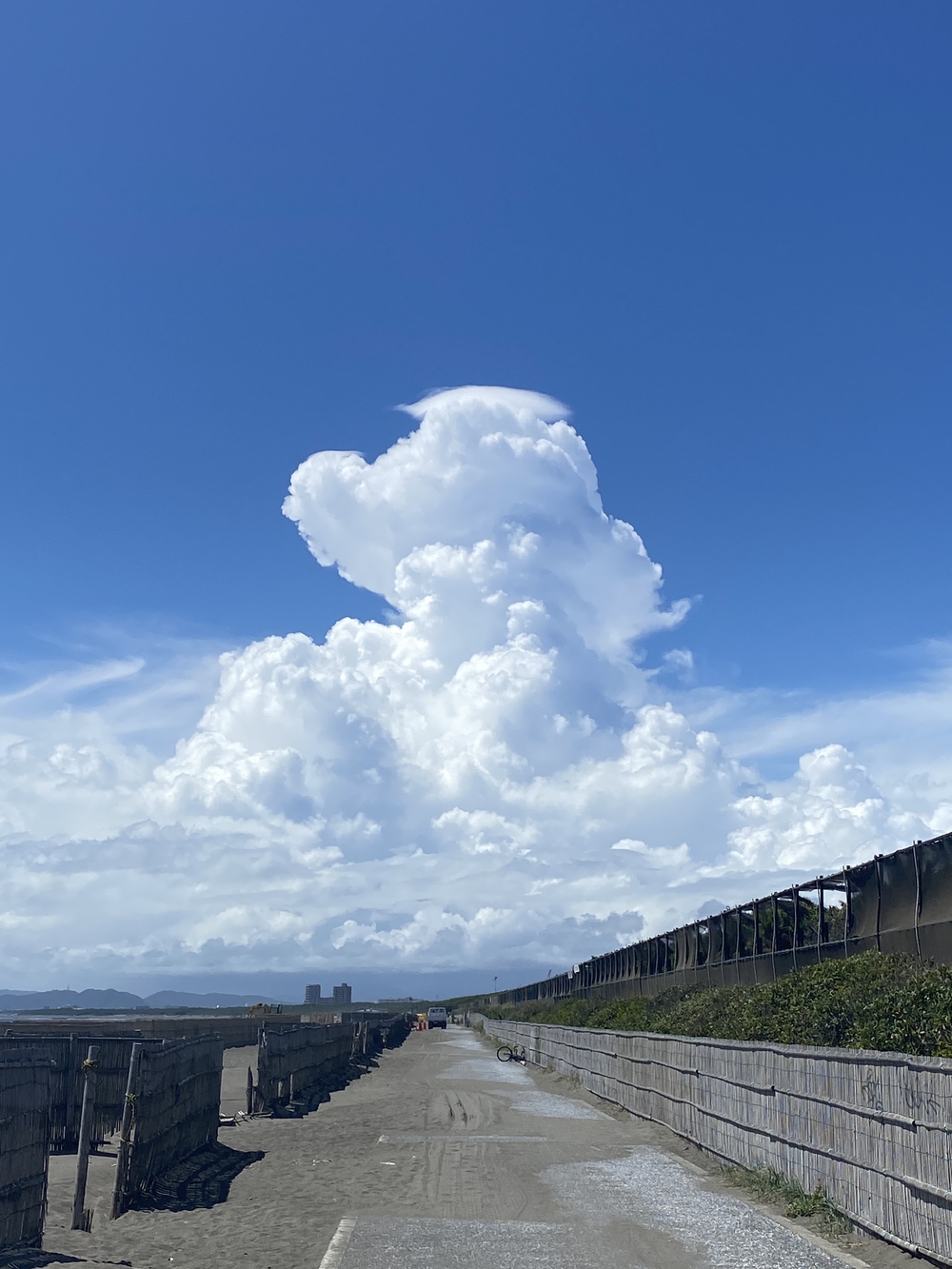 鎌倉駅から辻堂駅14キロの写真12