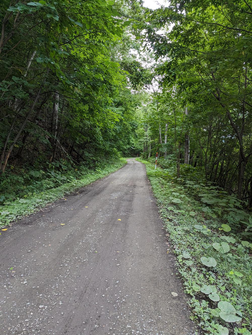 富良野駅→布部駅→山部駅の写真5