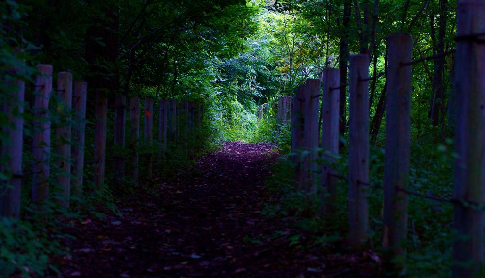 八王子のオアシス・小宮公園の写真3