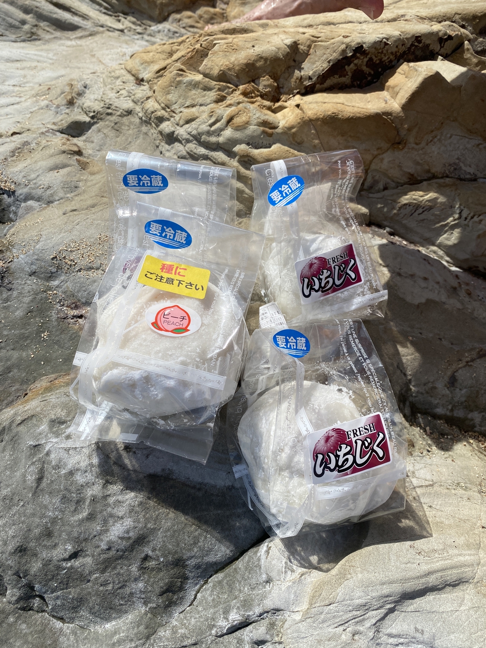 2023夏サンセットクルーズの写真5