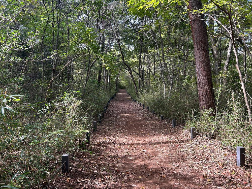 ランナーだから出来る、世界の絶景独り占め【コキア編】の写真4