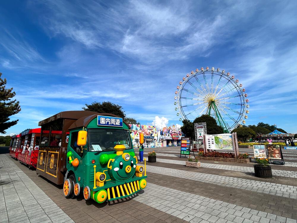 ランナーだから出来る、世界の絶景独り占め【コキア編】の写真5