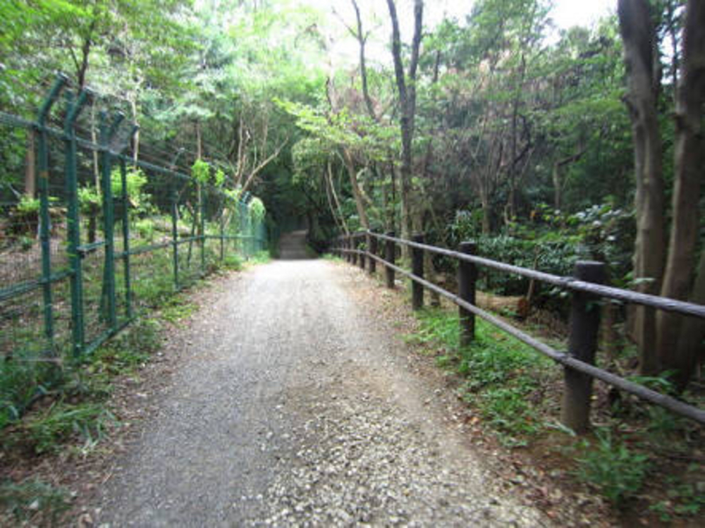 多摩湖一周！ スタートは西武園ゆうえんち！の写真7