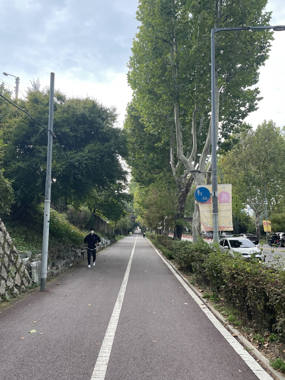 漢江、梨泰院周遊(ソウル龍山エリア)の写真3