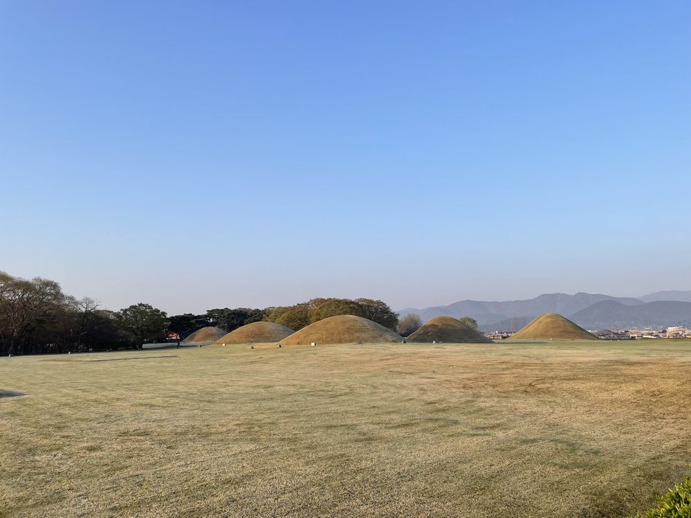 慶州観桜ランの写真4