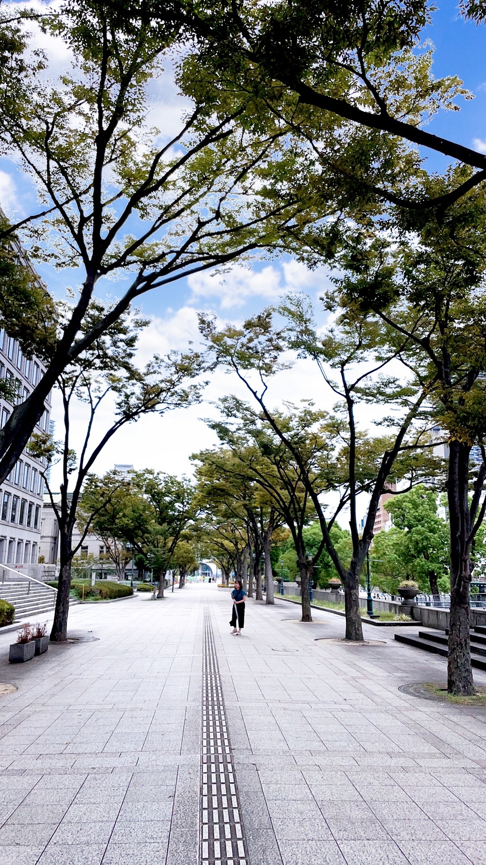 中之島周回ランニングコースの写真3