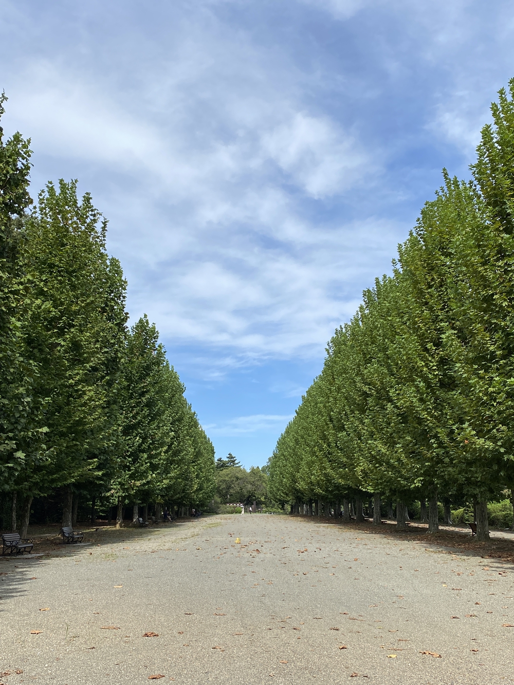 コンパクトに！　都心西側見どころ10キロの写真4