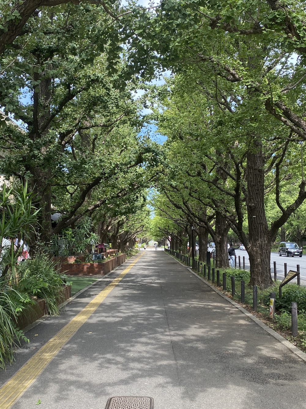 コンパクトに！　都心西側見どころ10キロの写真11