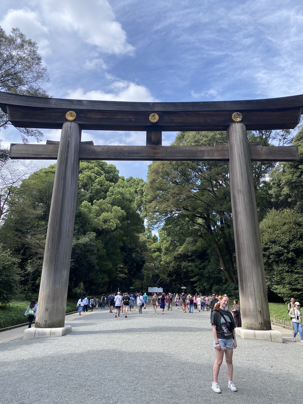 コンパクトに！　都心西側見どころ10キロの写真12