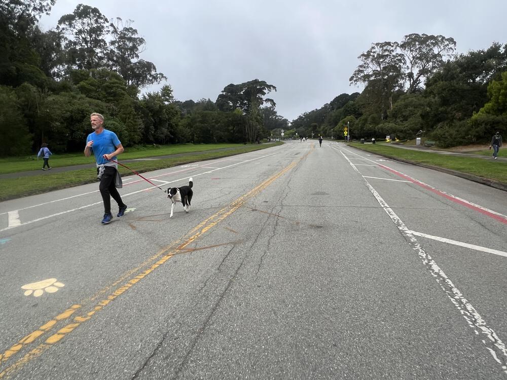 全米一の広さを誇る都市公園「ゴールデン・ゲート・パーク」の写真5