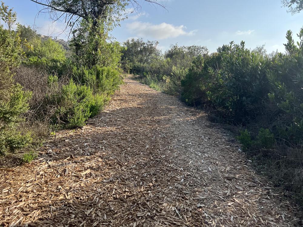 LAX発の飛行機が印象的な「プラヤ・デル・ビーチ」の写真6