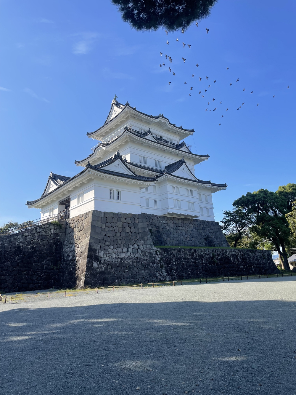 歌川広重と共にRUN 小田原の写真6