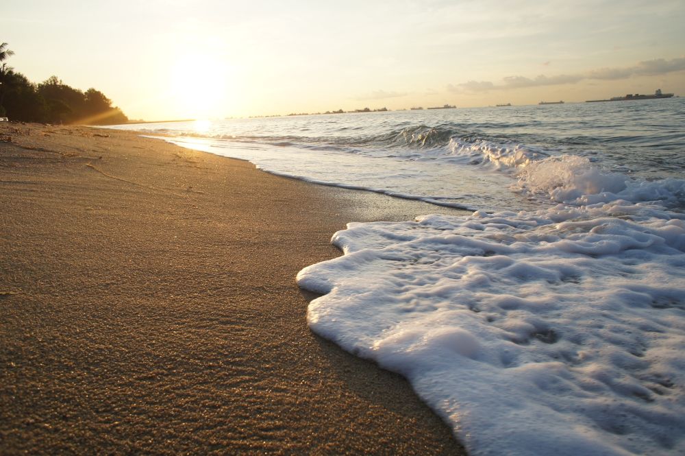 East Coast Parkの写真4