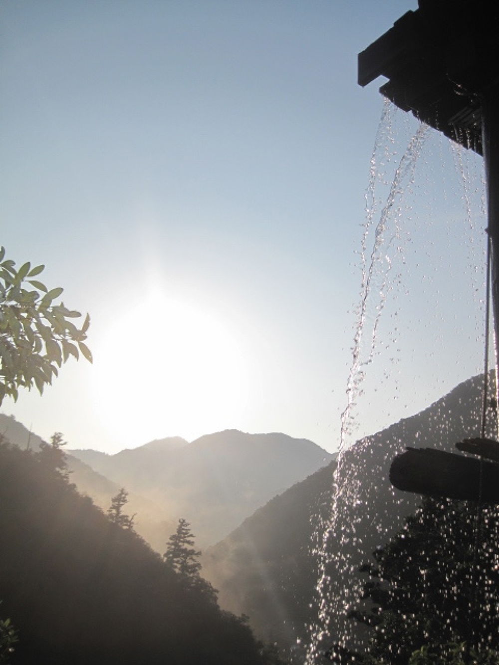 世界遺産・屋久島・縄文杉・宮之浦岳を制覇の写真4