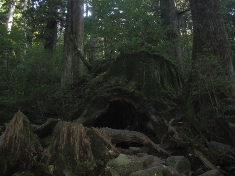 世界遺産・屋久島・縄文杉・宮之浦岳を制覇の写真5