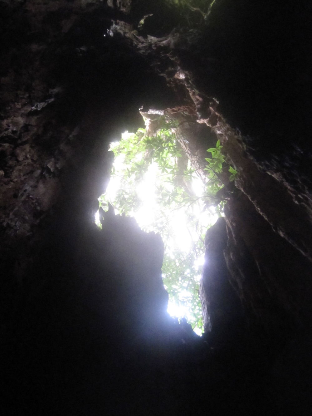 世界遺産・屋久島・縄文杉・宮之浦岳を制覇の写真7