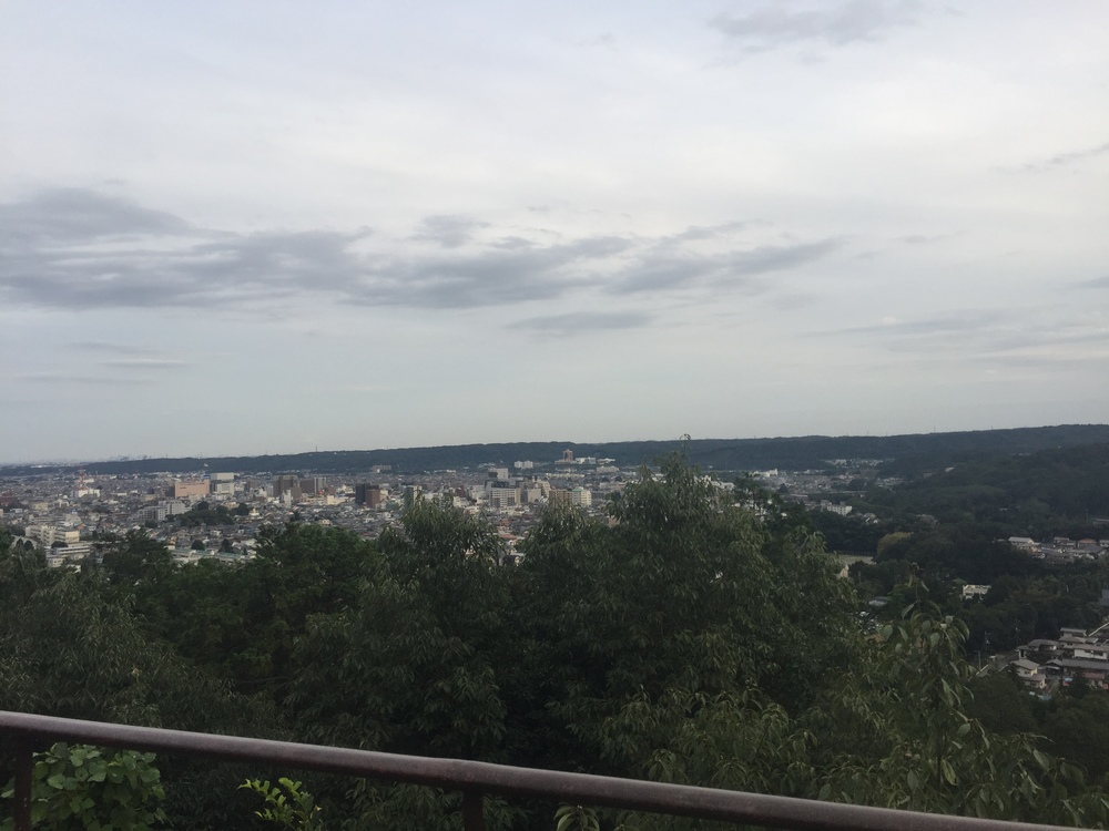 飯能４山(天覧山・多主峯山・龍崖山・柏木山)周回コース！の写真6