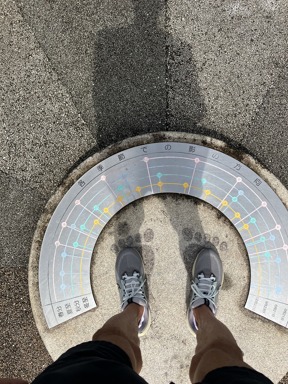 約600mのコース　インターバルOKの写真3