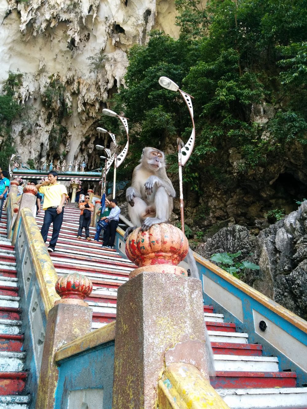 バトゥ洞窟・ヒンドゥーの聖地で修行ランの写真4