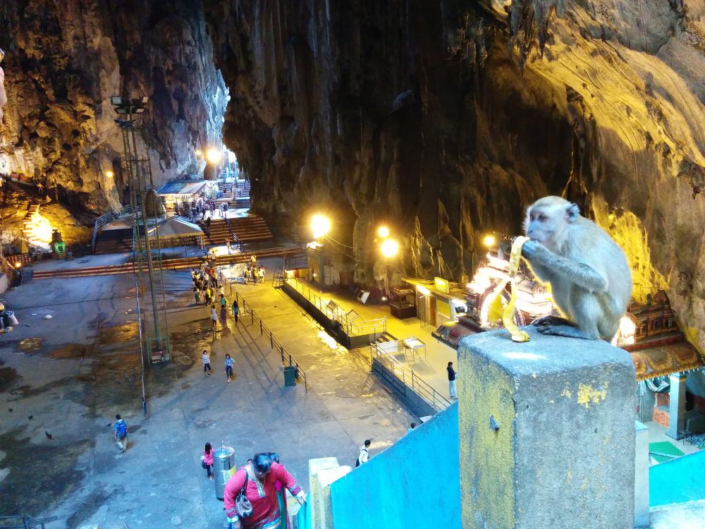 バトゥ洞窟・ヒンドゥーの聖地で修行ランの写真6