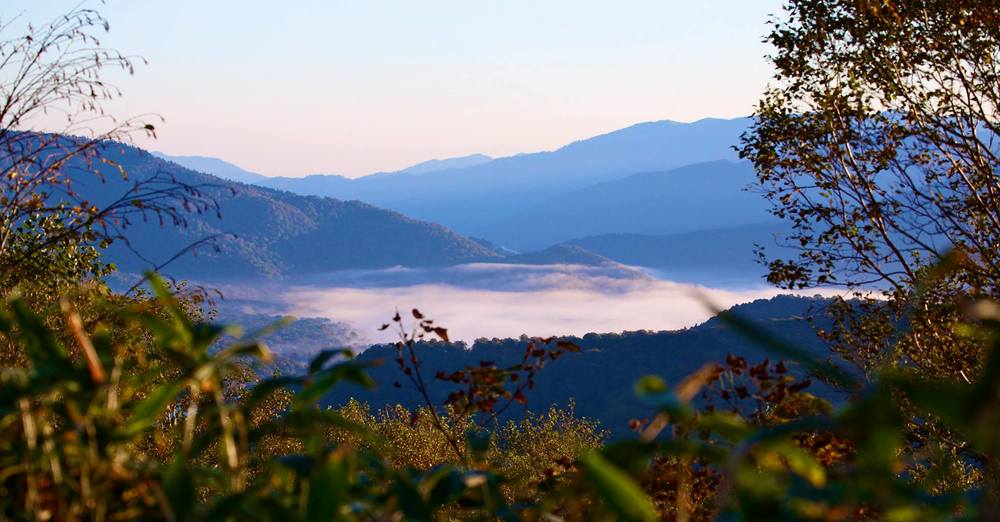 風霜高潔・至仏山の写真3