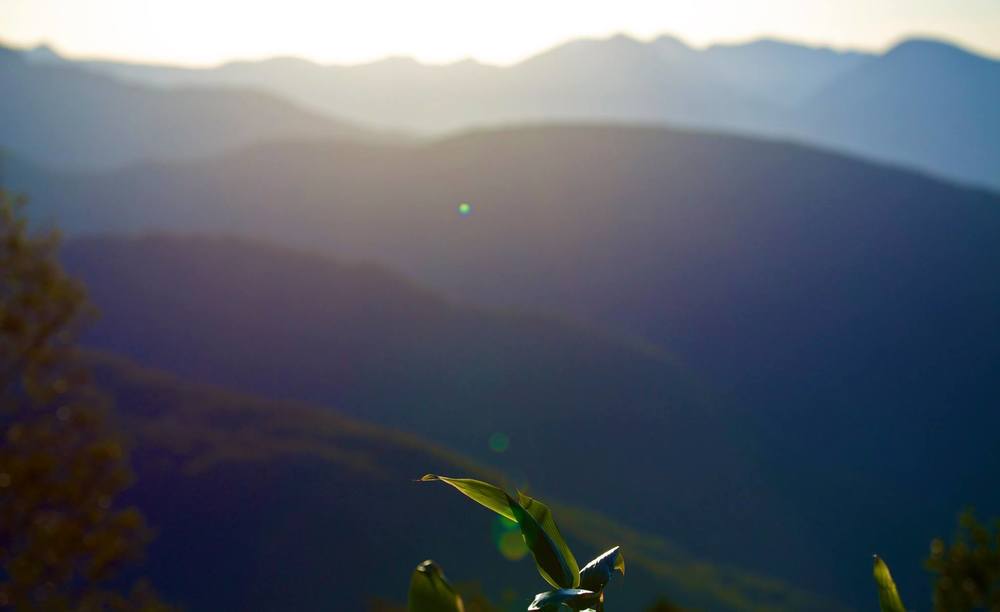 風霜高潔・至仏山の写真4