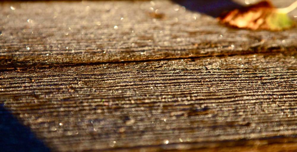 風霜高潔・至仏山の写真5